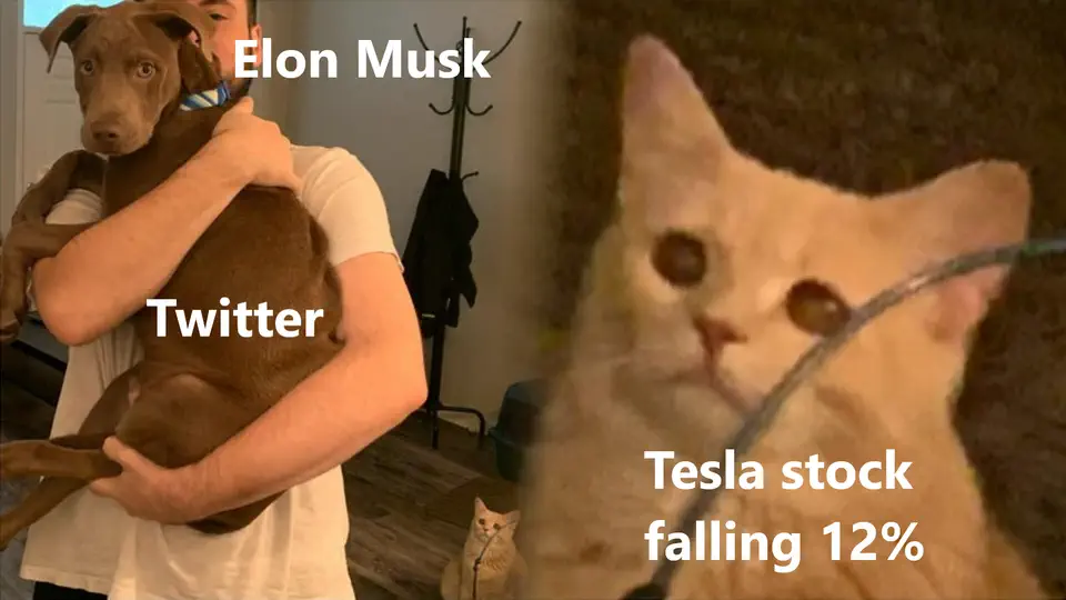 Elon Musk - Tesla and Twitter meme